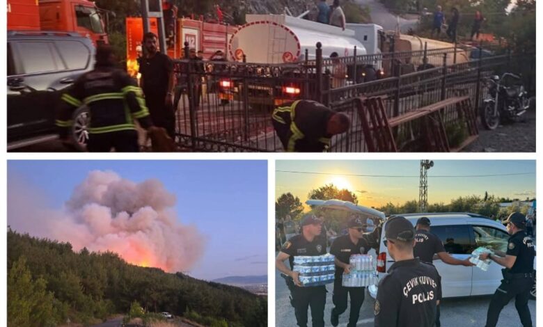 Rüzgarın etkisiyle yayılan yangına