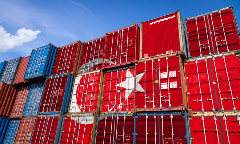 SÜMEYYENUR ALP – TEKHA