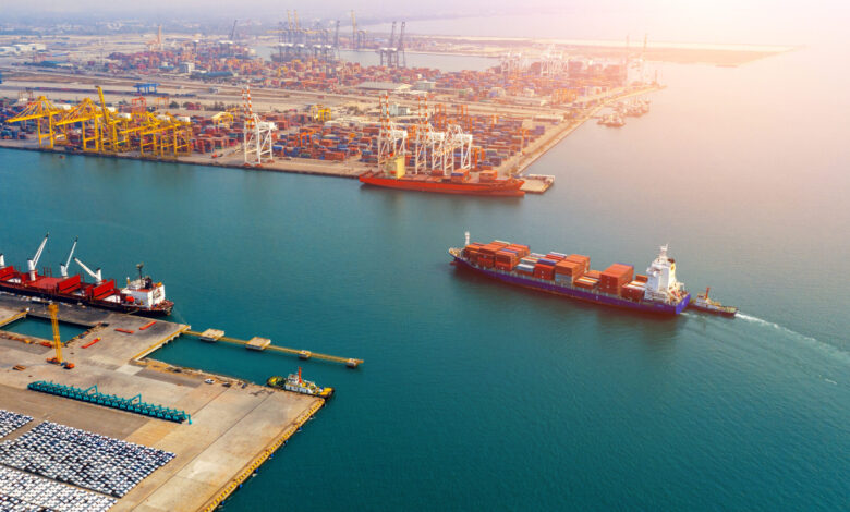 SÜMEYYENUR ALP – TEKHA