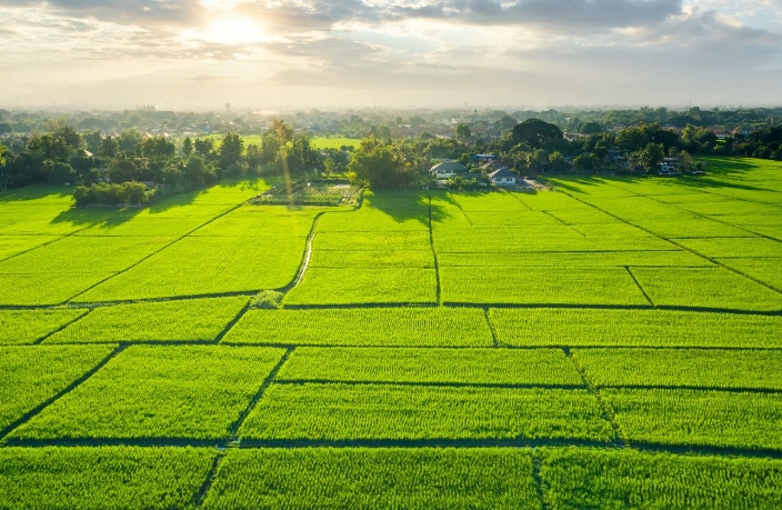 ANKARA / TEKHA Toplu