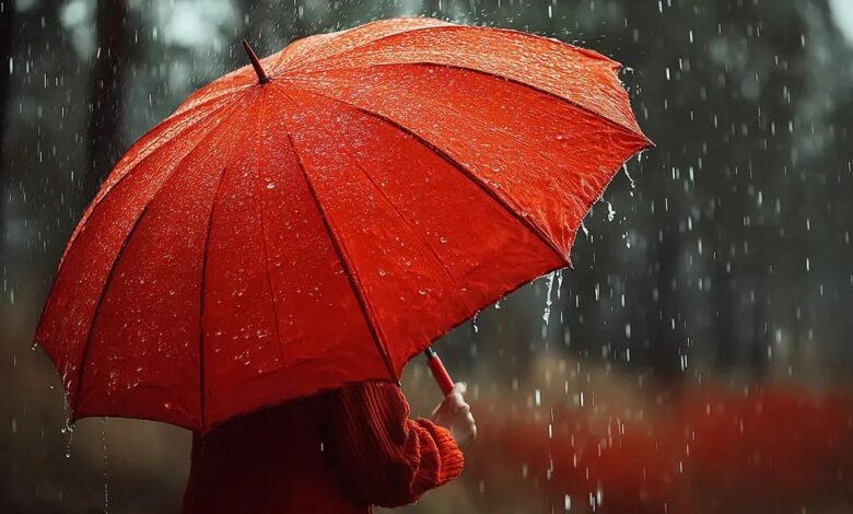 ANKARA/TEKHA Meteoroloji Genel Müdürlüğü