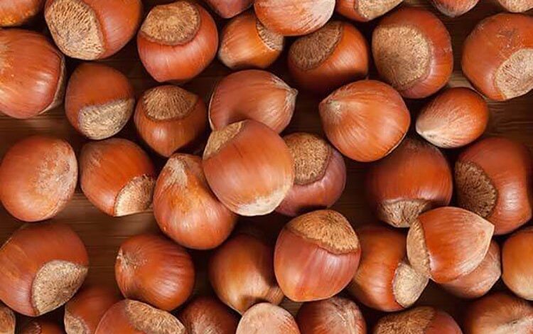 Trabzon’dan ocak-kasım döneminde yapılan