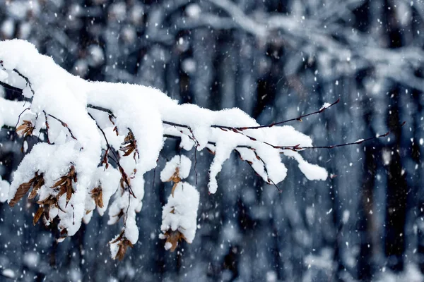 Meteoroloji’den Üç İl İçin Yoğun