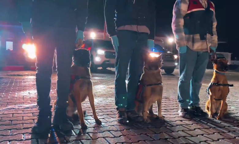 ANKARA / TEKHA Emniyet Genel