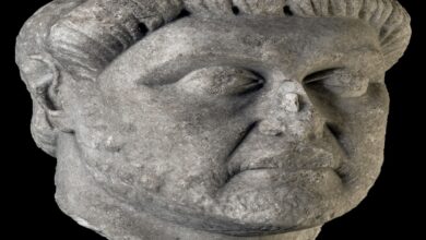 ANKARA / TEKHA Kültür ve