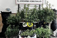 BURSA / TEKHA Bursa’nın Osmangazi
