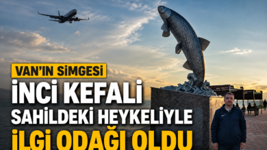 Van Gölü sahiline yerleştirilen devasa