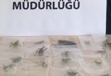 ADIYAMAN / TEKHA Tarım ve