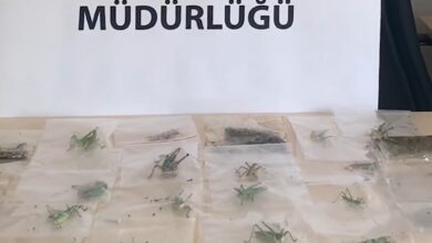 ADIYAMAN / TEKHA Tarım ve