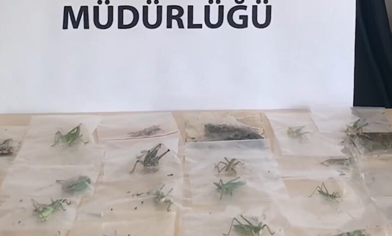 ADIYAMAN / TEKHA Tarım ve