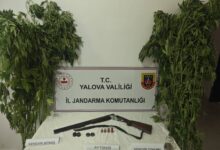 YALOVA / TEKHA Yalova İl